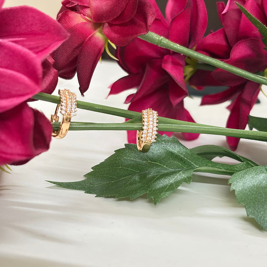 Golden Hoop Earrings