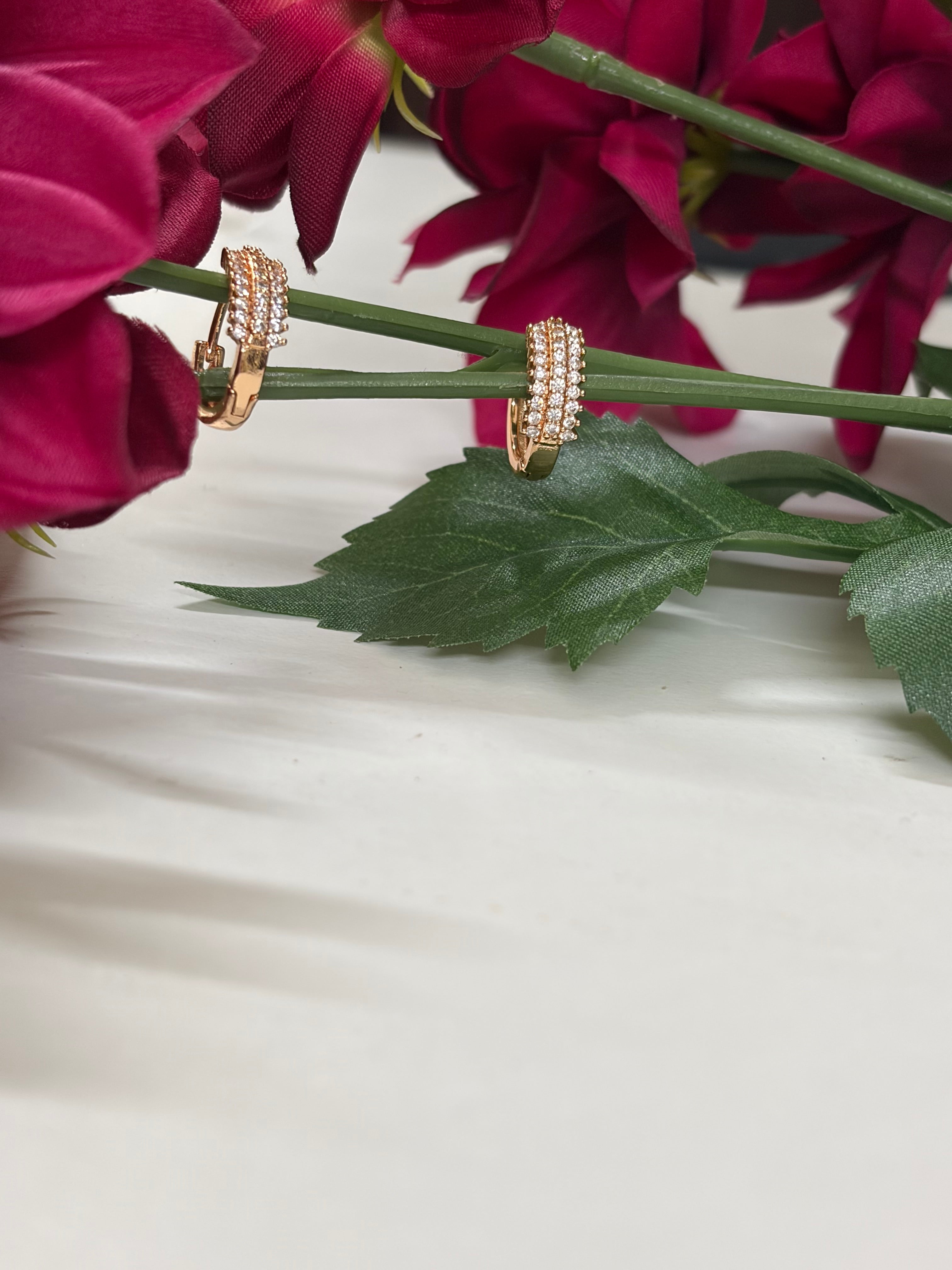 Golden Hoop Earrings