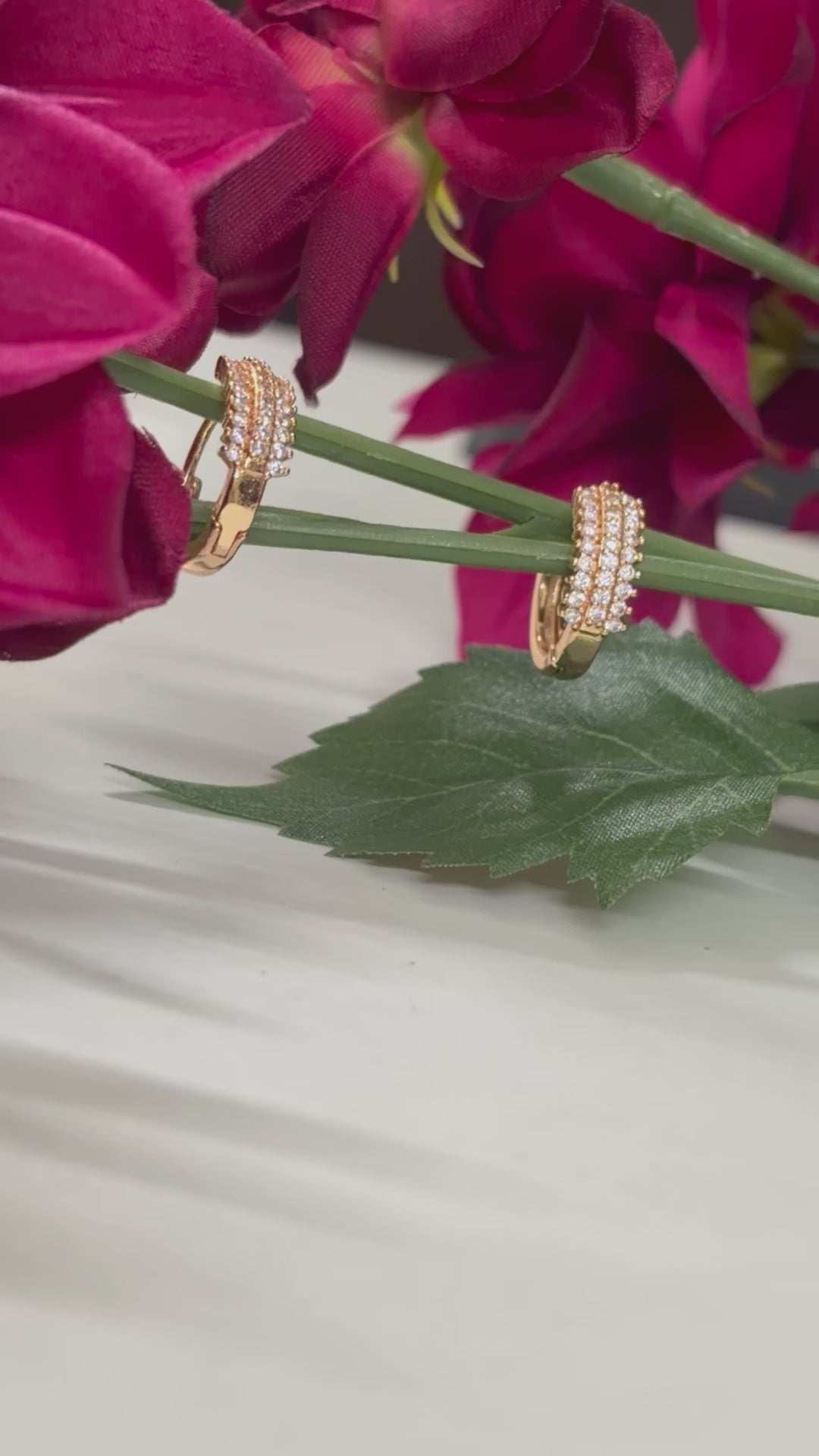 Golden Hoop Earrings